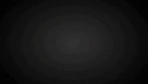 zikaii giphyupload GIF