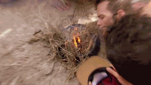 survivor australia GIF by Australian Survivor