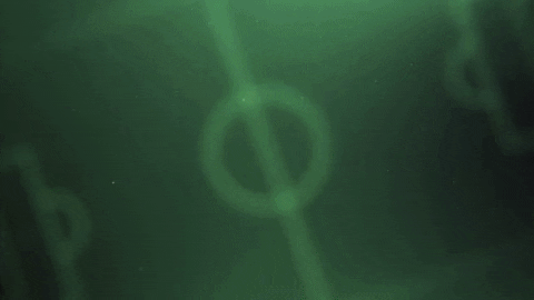 argentina GIF by ESPN Sur