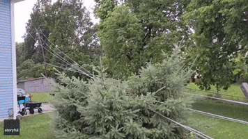 Severe Winds Down Trees and Power Lines Near Columbus
