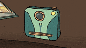 flash camera GIF by Sarah & Duck