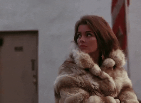 furglamor giphyupload fur look away fur coat GIF