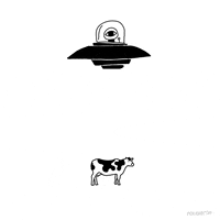 x files fox GIF by Animation Domination High-Def