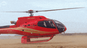 Huntedau GIF by Hunted Australia