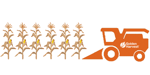 Corn Yield Sticker by Golden Harvest Seeds