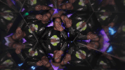 GIF by ComplexCon