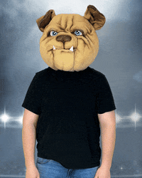 MUGRootBeer dog mug wrong thumbs down GIF