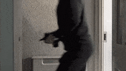 Bens-watch-club running guns fbi assassin GIF