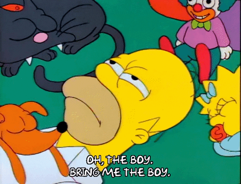 Season 1 Cat GIF by The Simpsons