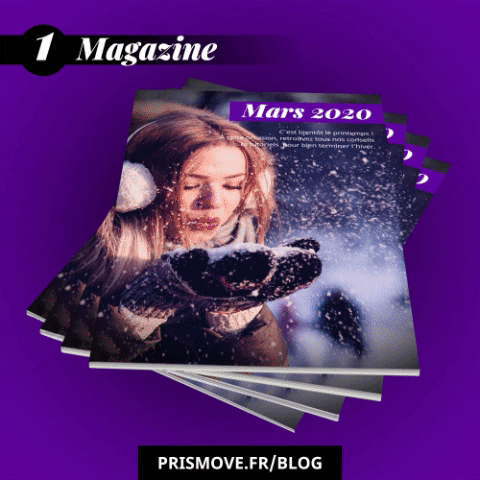 prismove giphygifmaker graphicdesign lyon graphic designer GIF