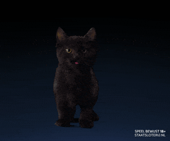 Black Cat GIF by Staatsloterij