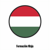 Hungary Flag GIF by Formación Ninja