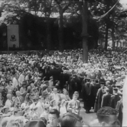 albert einstein GIF