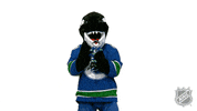 Ice Hockey Sport GIF by NHL