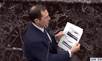 Senate Impeachment Trial GIF by GIPHY News