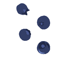 Dark Blue Illustration Sticker by Meloni Care