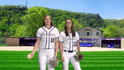 Warriors Softball GIF by WinonaStateATH