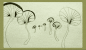 fromcecily musicvideo looping mushrooms handdrawnanimation GIF