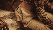 taramcdonaldtv party money pop fiesta GIF
