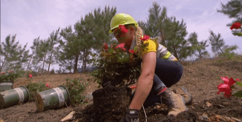 motivating tim tebow GIF by Home Free