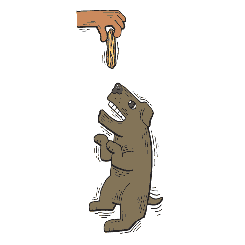 Zingrs2 Sticker by Zingerman's Deli