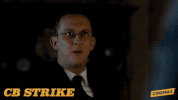 the cuckoo's calling cb strike GIF by Cinemax