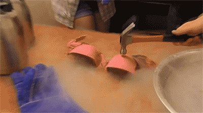 bra nitrogen GIF