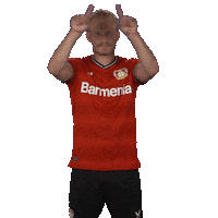 Know Red Card Sticker by Bayer 04 Leverkusen