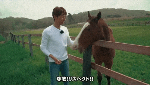 Horse Hit GIF