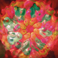 Art Animation GIF
