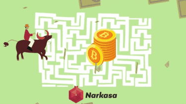 Bitcoin Crypto GIF by narkasa