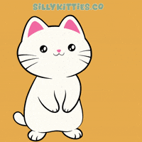 Happy Thanks GIF by Silly Kitties