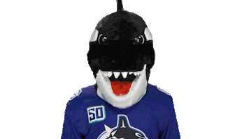 Mascot Cant Look Sticker by Vancouver Canucks