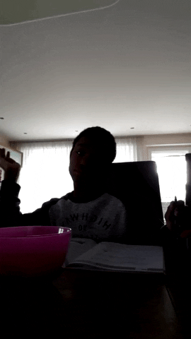 lektora_verlag giphyupload GIF