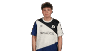Arminia Bielefeld What Sticker by Bundesliga
