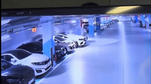 yj_jane giphyupload GIF