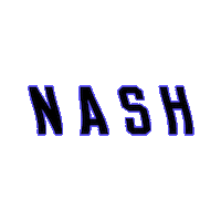 Nashville Nash Sticker by TheNASHCollection
