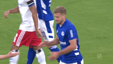 Simon Terodde Game GIF by FC Schalke 04