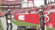 Regular Season Football GIF by NFL
