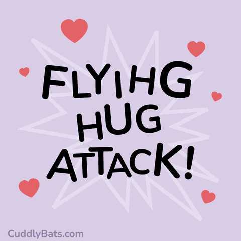 cuddlybats giphyupload love hug bat GIF