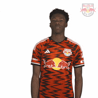 Happy Get Loud GIF by New York Red Bulls