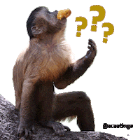 E O Que What Sticker by Associação Caatinga