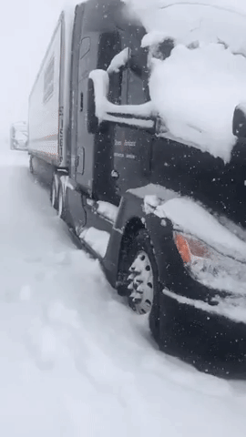 Semi-Truck Stuck in Snow Storm in Southern California