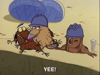 nickrewind nicksplat angry beavers GIF