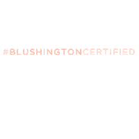 Blushington Academy For Artist Advancement Sticker by Blushington