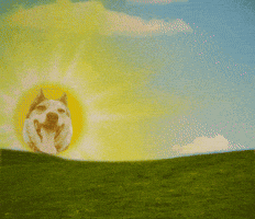 Good Morning Beautiful GIF by GIPHY Studios 2022