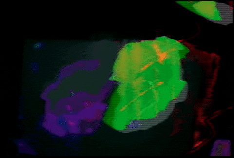 Video Art GIF by cskonopka
