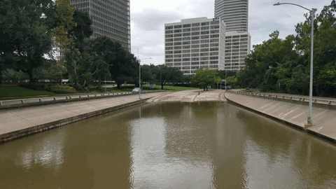 MFDtheArtist houston flood harvey GIF