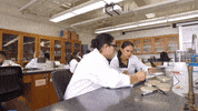 GIF by CSUEBScience