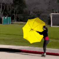Wind Umbrella GIF by RollerPump